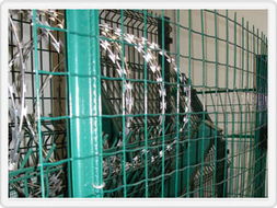 涂塑電焊網產品大圖 探索河北安平豐富絲網廠的優質產品