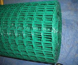 供應全壯絲徑50絲工藝品電焊網