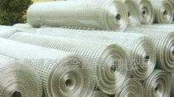 金屬網(wǎng)與鐵絲網(wǎng) 50*50mm電焊網(wǎng)的應用與優(yōu)勢