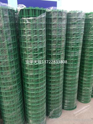 荷蘭網(wǎng)廠家直銷 優(yōu)質(zhì)綠色圍網(wǎng)與浸塑電焊網(wǎng)現(xiàn)貨供應(yīng)，安平縣天辰金屬絲網(wǎng)制品詳解